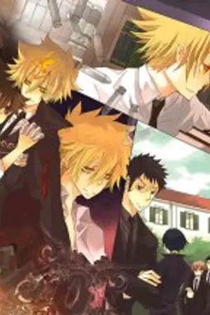 ปกนิยาย Fic Reborn/KHR-Fate of Vongola [รับสมัคร]