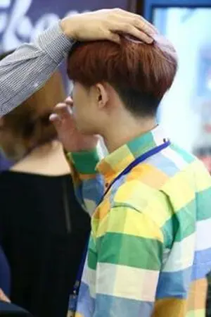 ปกนิยาย [FICEXO] ◣ P E R F E C T L Y ◥ (KAIDO)