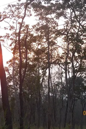 ปกนิยาย 23ชั่วโมงกับ56นาทีที่โลกหมุนรอบตัวเอง #ไวน์ใส่น้ำแข็ง