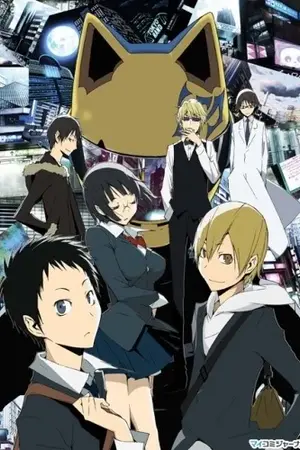 ปกนิยาย Durarara!! x Reader