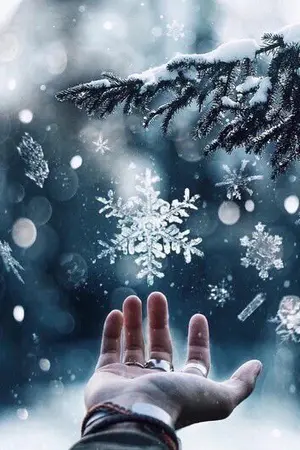 ปกนิยาย Frozen Affair (HAEEUN)