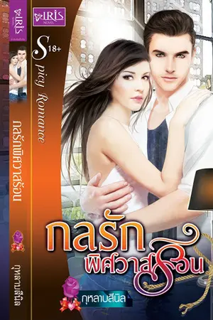 ปกนิยาย กลรักพิศวาสร้อน