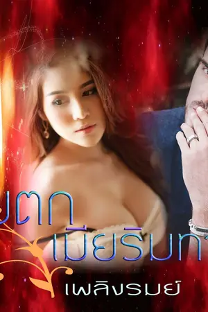 ปกนิยาย เก็บตกเมียริมทาง