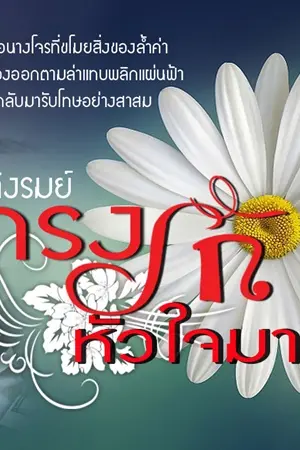 ปกนิยาย