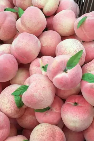 ปกนิยาย (jaedo - os/sf ) : dear peach  l #พีชกับแจโด