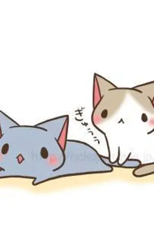 ปกนิยาย แปลเพลงAnimeและอื่นๆ