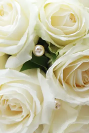 ปกนิยาย รวมลูกๆ