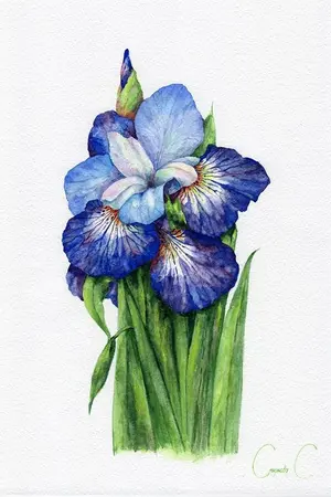 ปกนิยาย เกิดใหม่เป็นดอกไอริส (omegaverse)