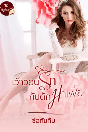 ปกนิยาย