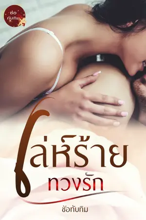 ปกนิยาย