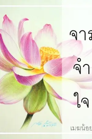 ปกนิยาย