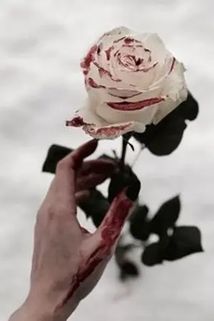 ปกนิยาย [FIC:HARRY POTTER & TWILIHGHT] Once upon a time.