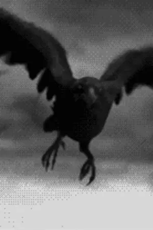 ปกนิยาย [FIC:HARRY POTTER] รอเวลา…ใจเคียงกัน