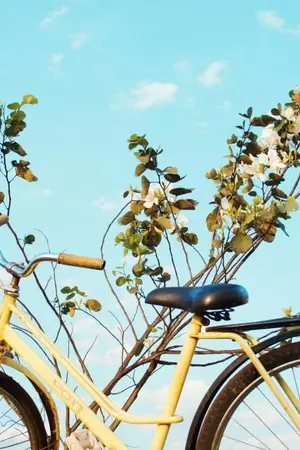 ปกนิยาย PRODUCE 101 (OS/SF)  yellow  ♡  Holin