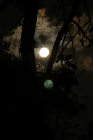 ปกนิยาย EXO :: FIRE EXIT { BAEKHYUN D.O }