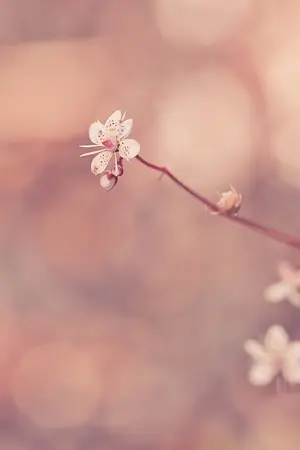 ปกนิยาย Universe of Markson