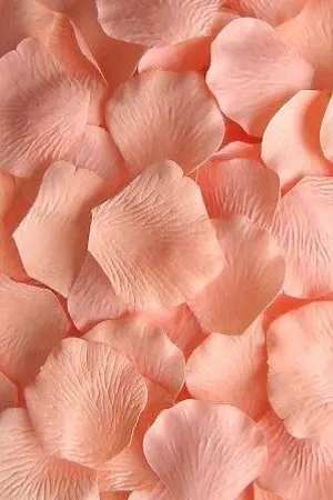 ปกนิยาย Be Mine #OngNiel #MinHwan