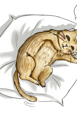 ปกนิยาย เมื่อฉันฝัน