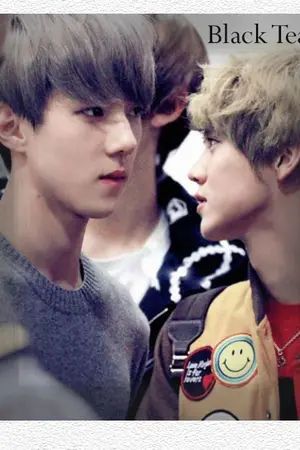 ปกนิยาย BECOME LOVE กลาย"รัก" [Fic EXO ft.kpop]