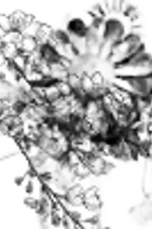 ปกนิยาย ปิ่นแห่งความทรงจำในสายลม(TOUKEN RUNBU)