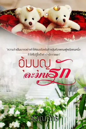 ปกนิยาย อุ้มบุญละมุนรัก (ฉบับรีรัน)