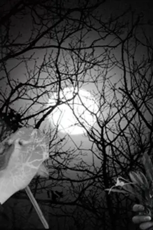 ปกนิยาย Moonlight Shadow ☽ | Jackjae