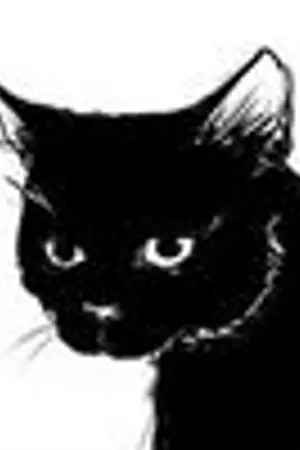 ปกนิยาย || D A R K Z O N E || F R E E Z E !