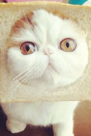 ปกนิยาย มุก & น้ำ (ญญ)