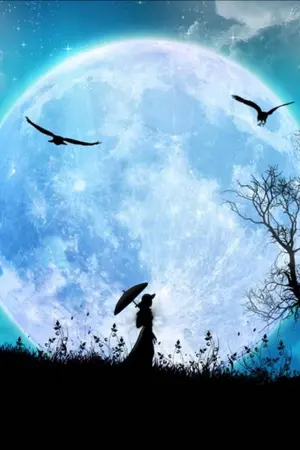 ปกนิยาย Found You พบกันใต้จันทร์สลัว