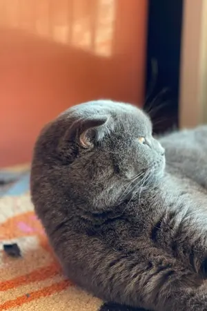 ปกนิยาย ฐานันดรไร้ตัวตน