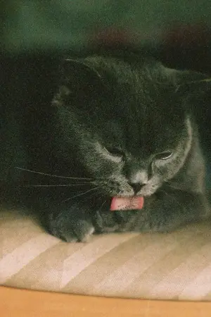 ปกนิยาย สถานะแค่พี่น้อง