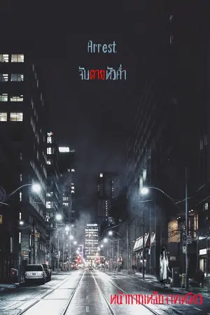 ปกนิยาย Arrest จับตายหัวค่ำ