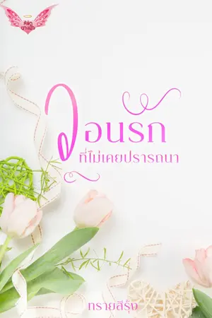 ปกนิยาย