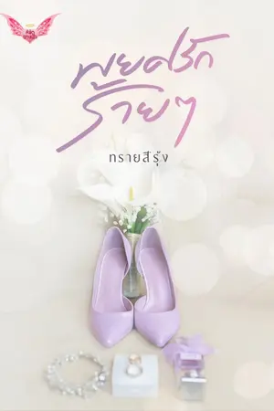 ปกนิยาย