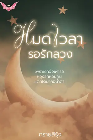 ปกนิยาย หมดเวลารอรักลวง