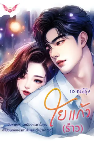 ปกนิยาย
