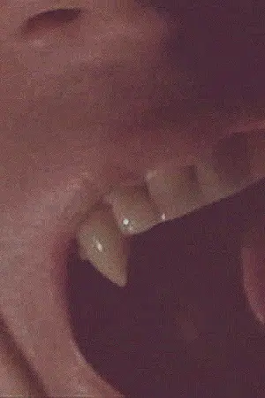 ปกนิยาย BAT BAEK ♛ ( HUNBAEK )