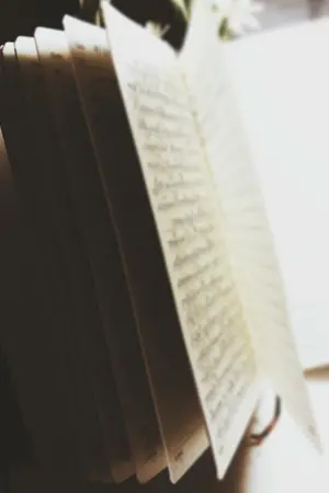 ปกนิยาย อนุทิน