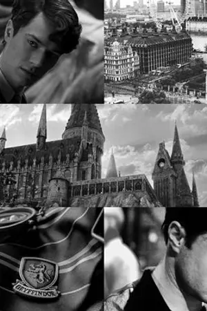 ปกนิยาย [Fic Harry Potter] ONE NIGHT ONLY (TMR/HP)