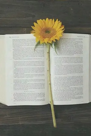 ปกนิยาย Welcome to Polarsmai>oo<