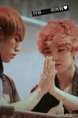 ปกนิยาย [SF B.A.P] white rabbit (daelo)