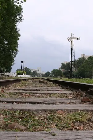 ปกนิยาย (BTS OS/SF) Fellow Traveler.