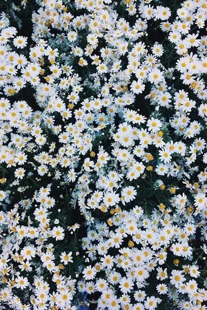 ปกนิยาย 228174 [ BTS X You ]