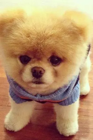 ปกนิยาย Don't it ศัตรูรัก