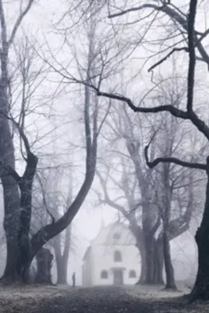 ปกนิยาย In the ' shadow '