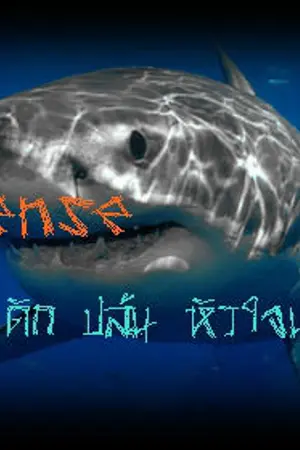 ปกนิยาย Shark Sense ฉุด ดัก ปล้น หัวใจนายเพลย์บอย