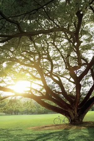 ปกนิยาย อยู่ตรงนี้ [จบแล้ว]