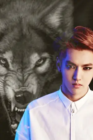 ปกนิยาย (exo) Beauty and the WOLF {krislay}