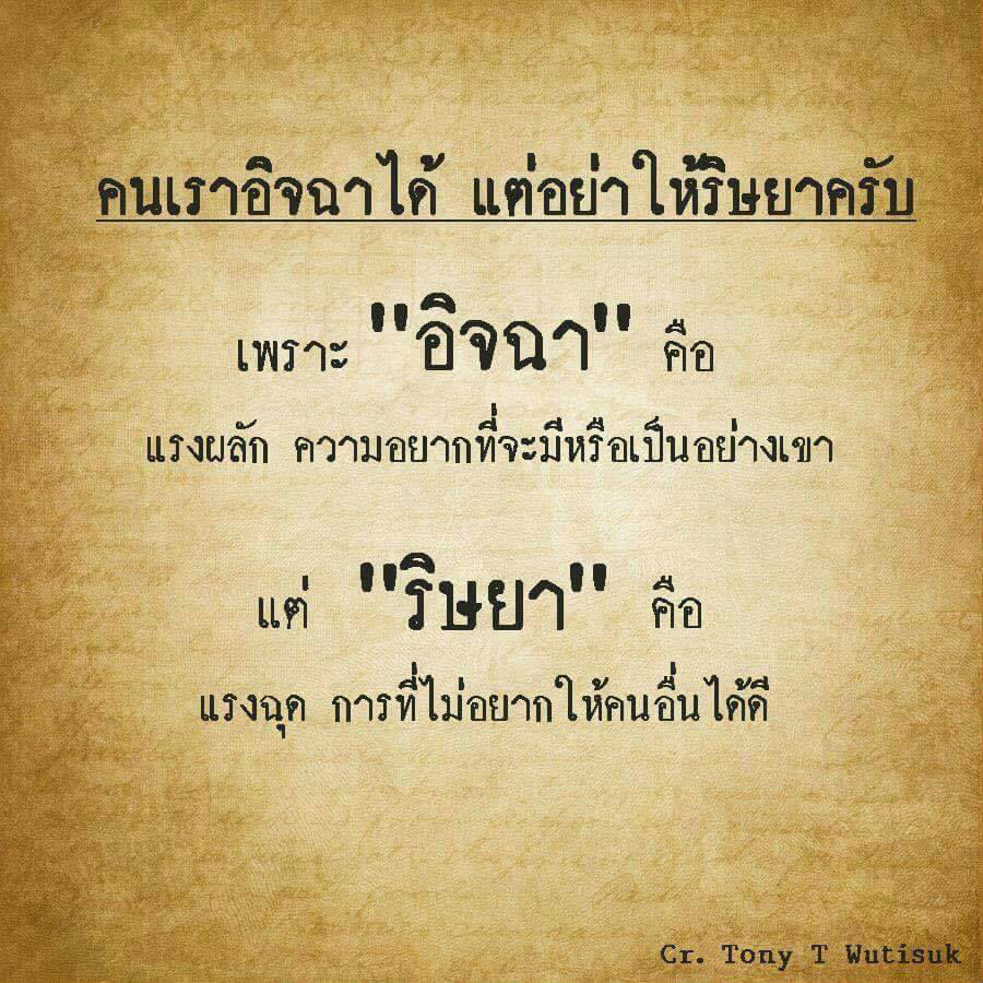 My Image 12