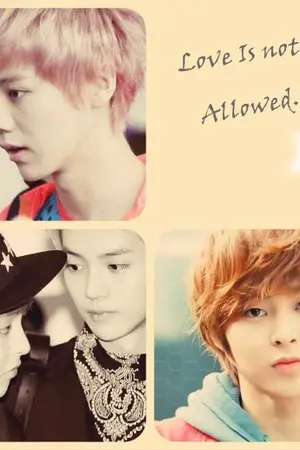 ปกนิยาย [Exo] Love is not Allowed...[LuMin]